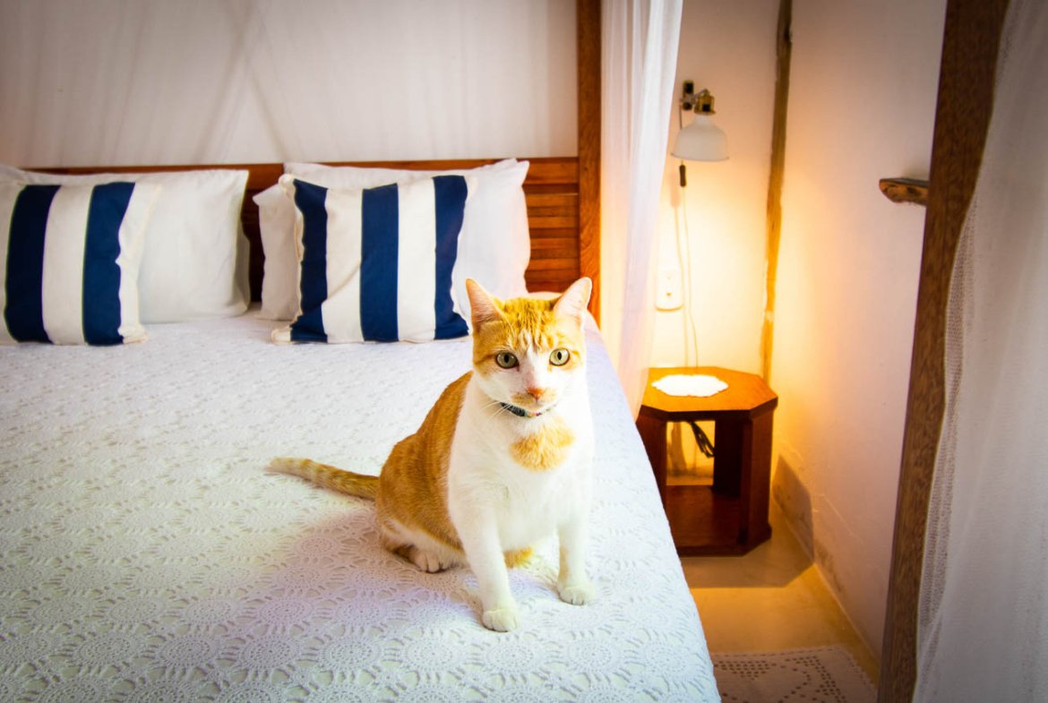 Casa proxima ao Quadrado de Trancoso